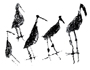 bird petroglyph Dominican Republic